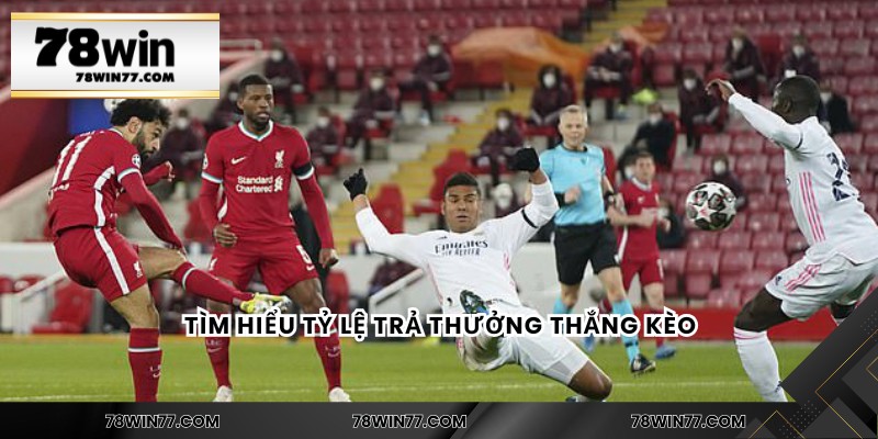 Tìm hiểu tỷ lệ trả thưởng thắng kèo