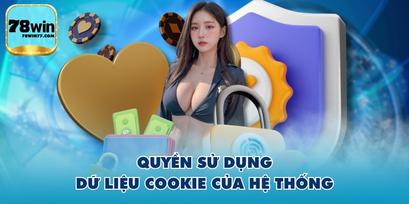 Quyền sử dụng dữ liệu cookie của hệ thống